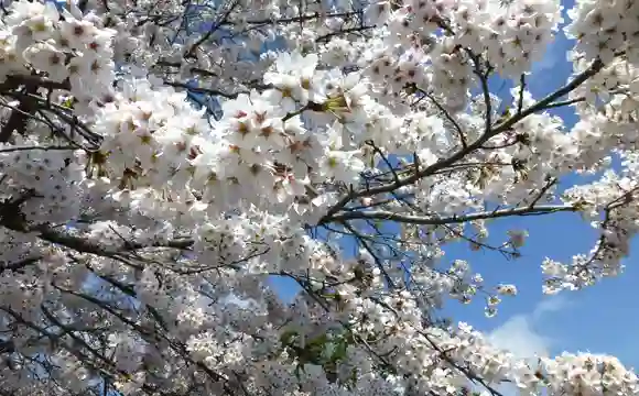 園内風景②