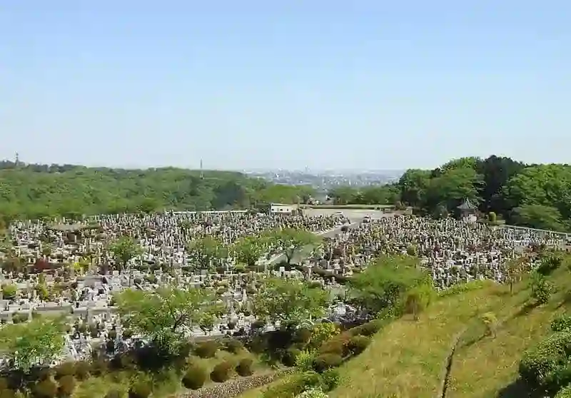 墓地全景