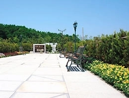 綺麗な参道