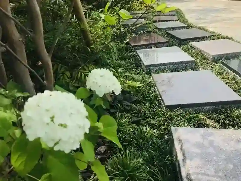 綺麗な花も咲いています
