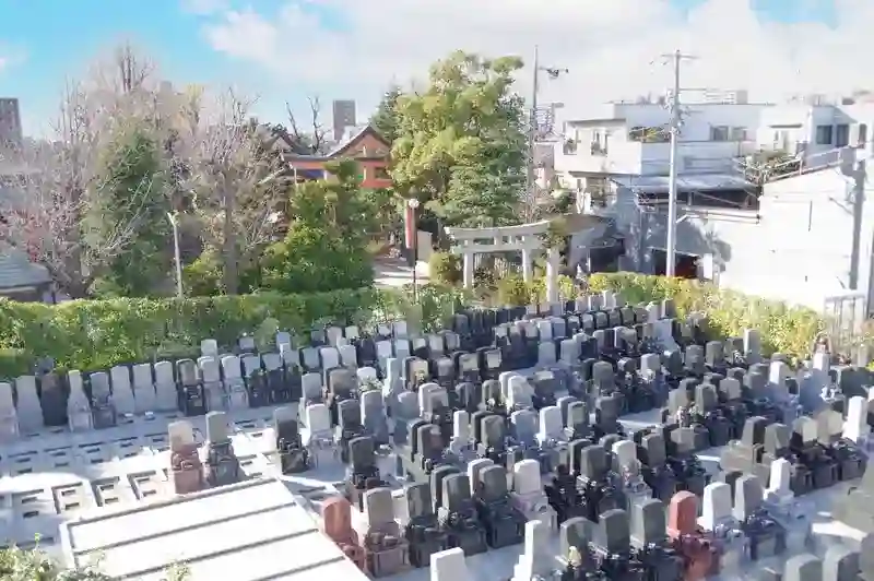 グリーンパーク新宿　全景