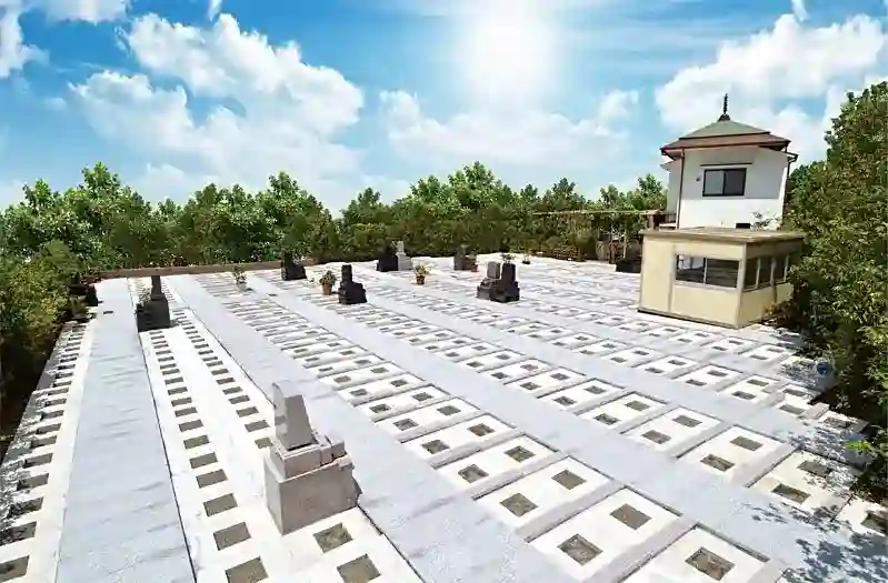 墓地全景