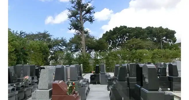 ぜひお待ちしております。