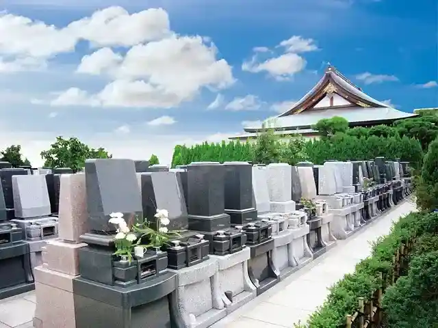 明るく開放感があります。