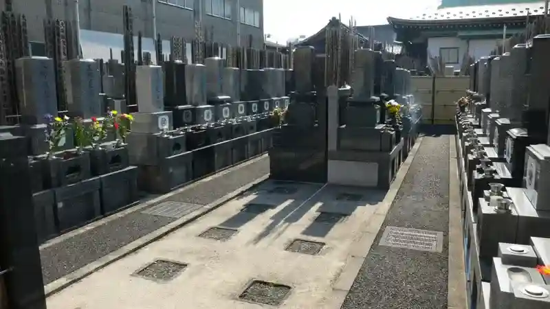 墓地②