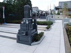 墓域②