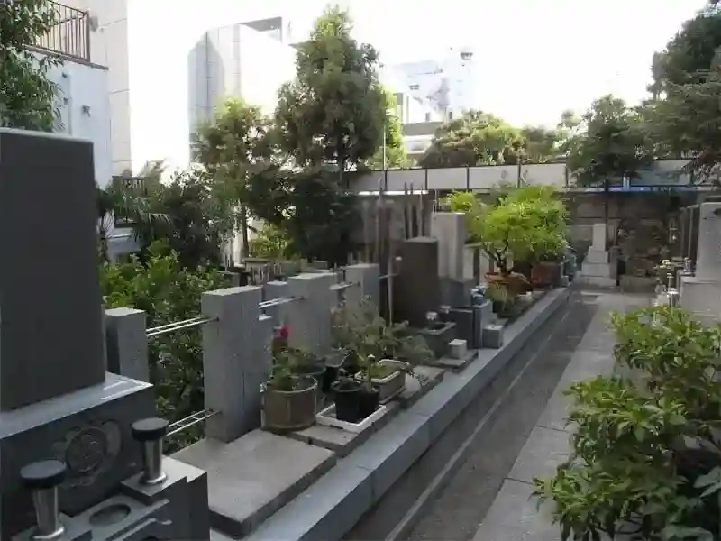 墓地寸景