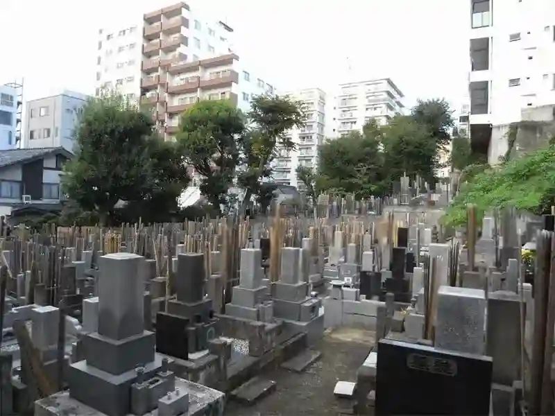 墓地寸景
