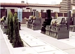 墓域