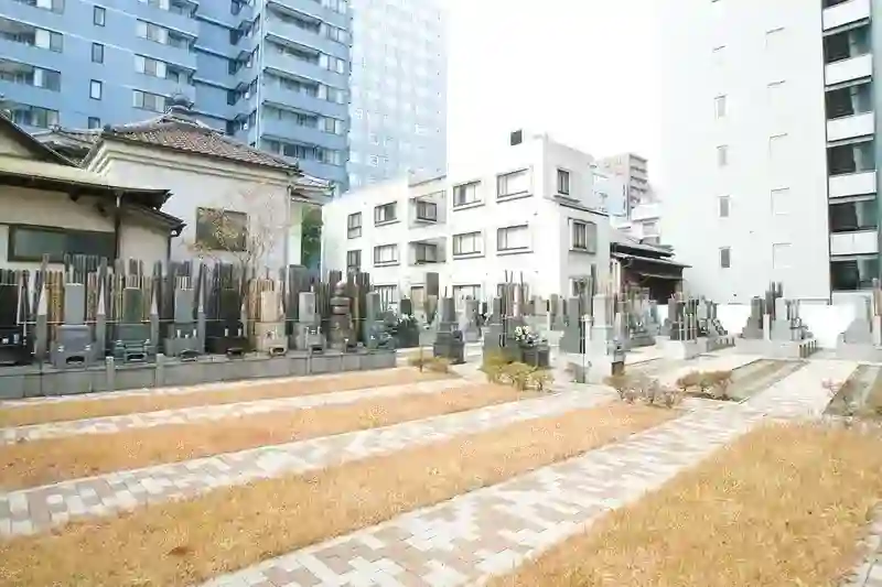 平坦な造りの参道