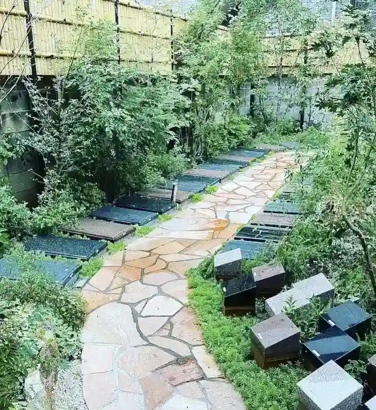 緑に囲まれた苑内の道