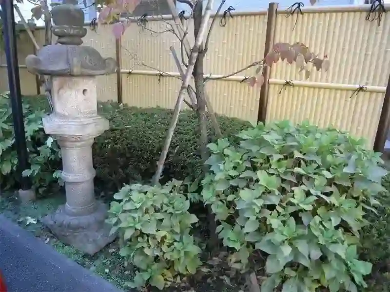 寸景