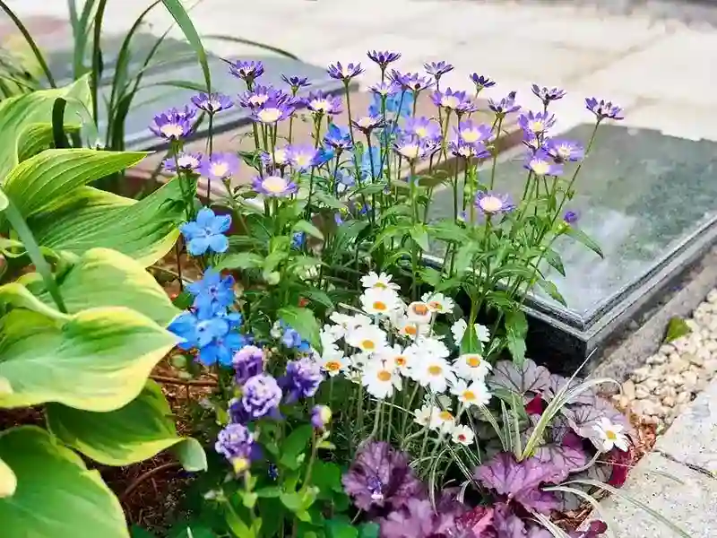 お花が苑内を色付けます