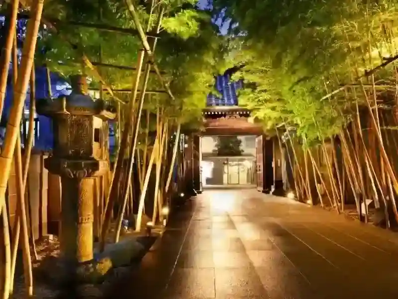 竹林の参道（夜景）