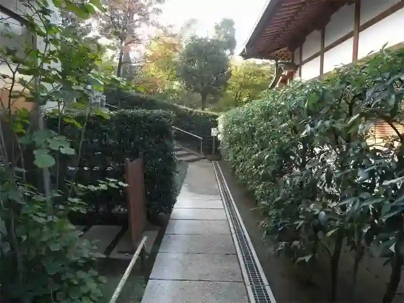 境内の様子（墓地まで参道）