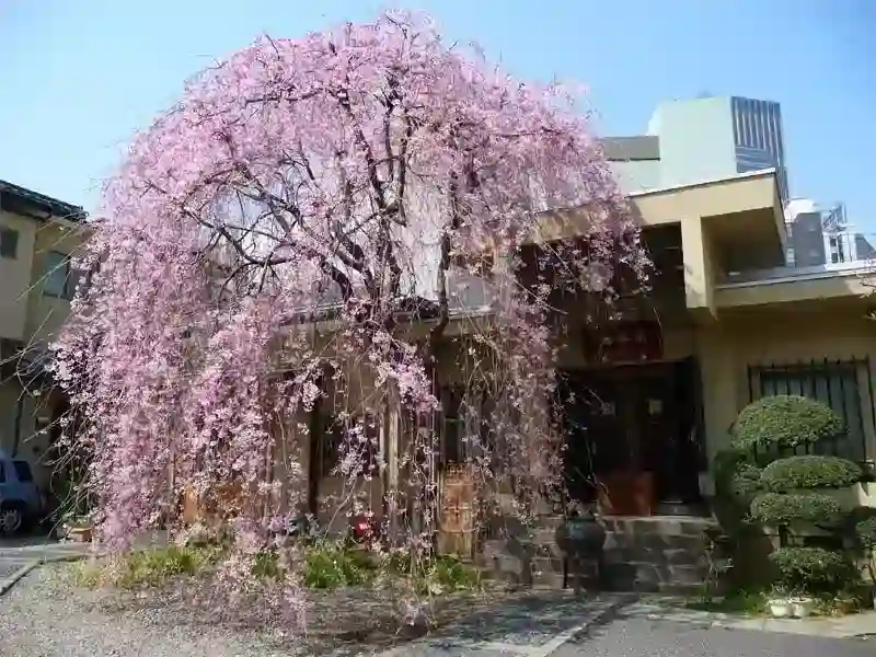 境内風景