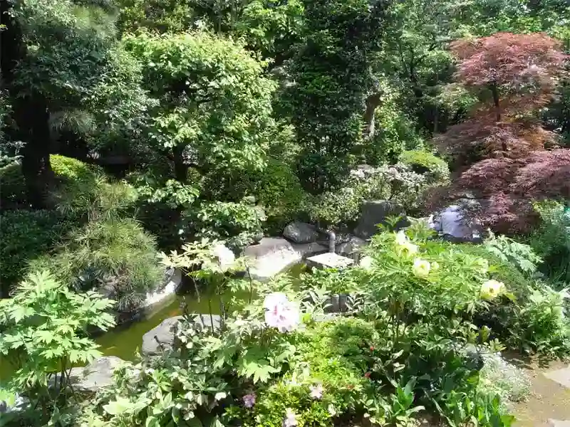 雰囲気のある庭園には池があります