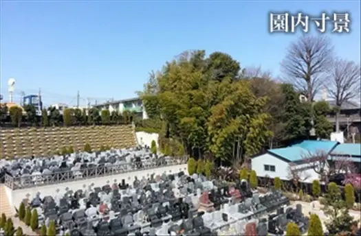 開放的で広い土地