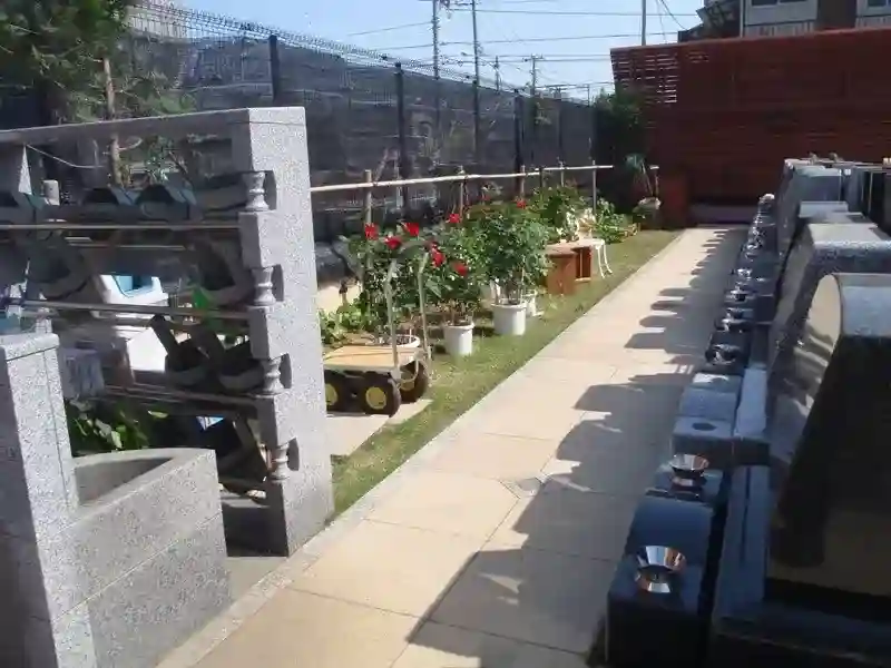 水汲み場と植物