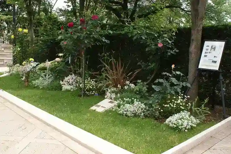 綺麗に管理されている樹木