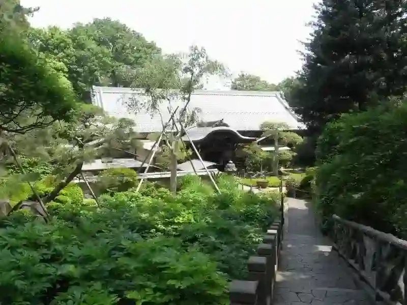 境内寸景