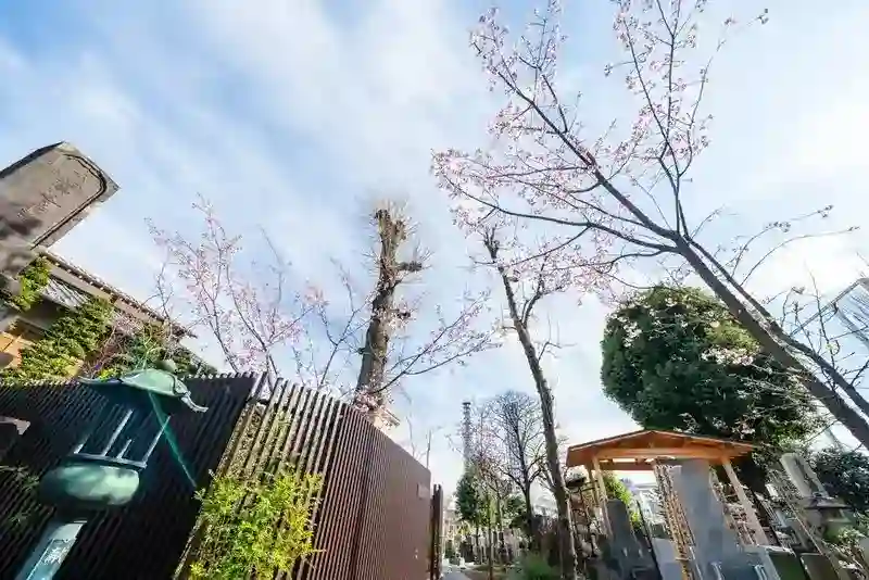 園内