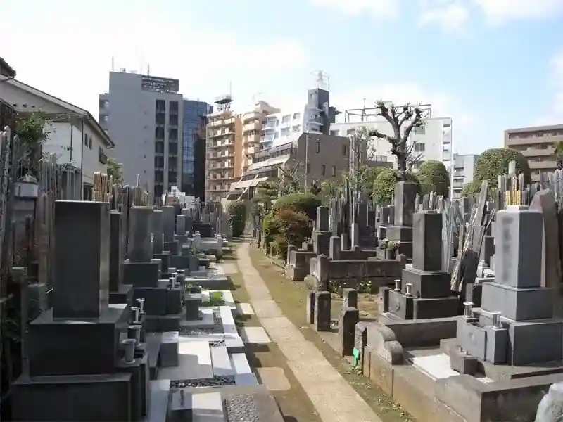 墓地寸景