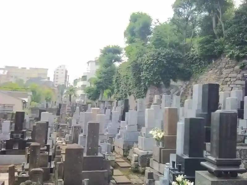 墓地寸景