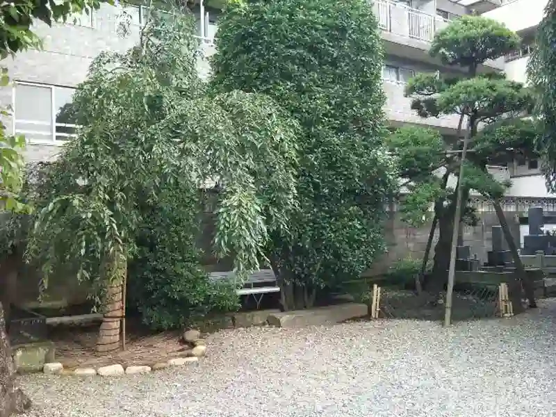 境内寸景