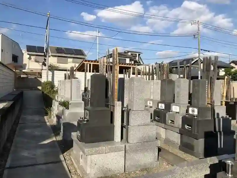 区域
