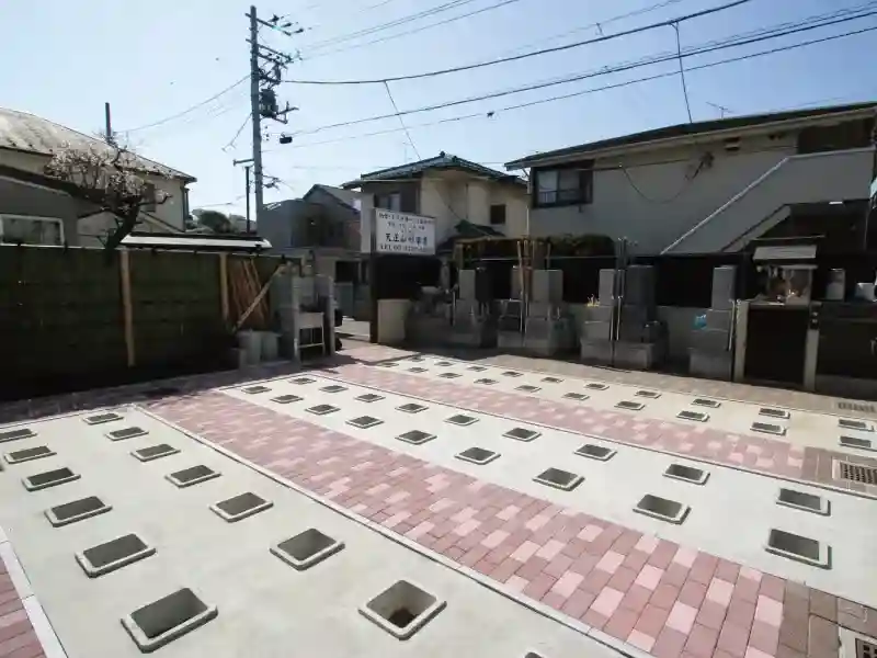 墓地全景