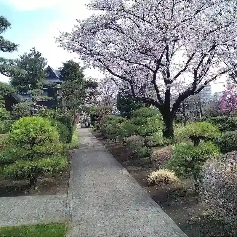 参道