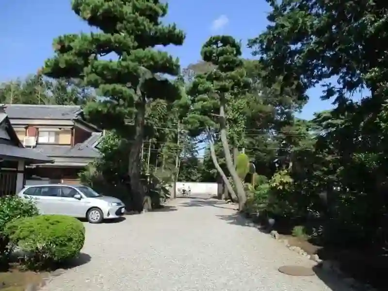立派な木々