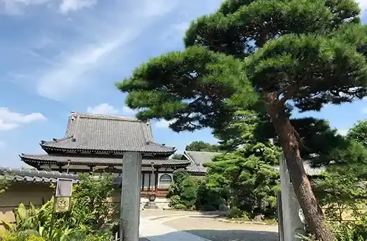 歴史を感じる境内