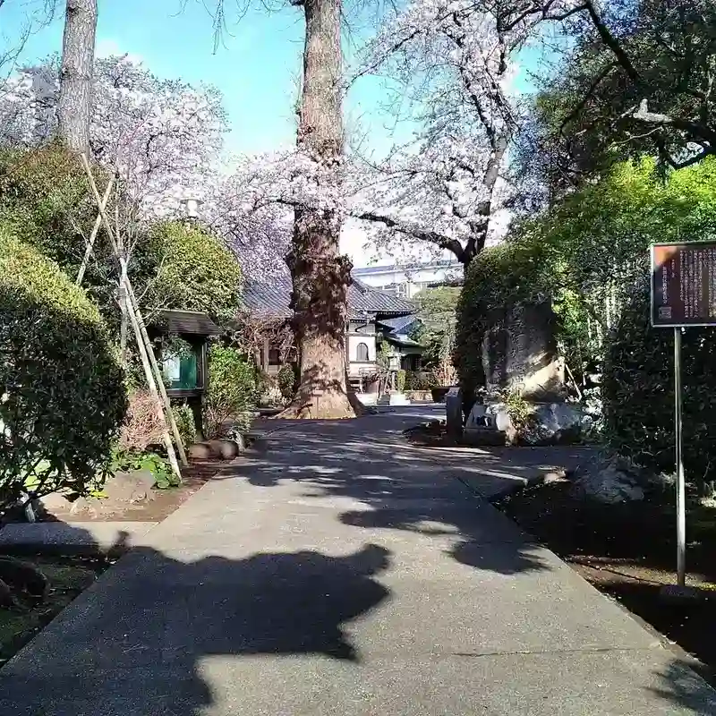 参道