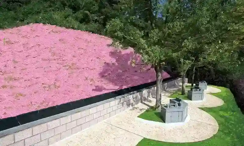 樹木葬「桜寿」