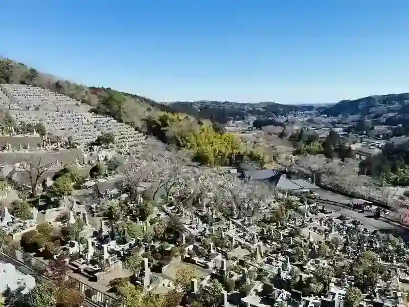 墓地全景①