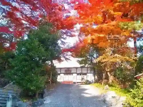 園内の紅葉