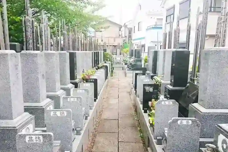 整備された通路