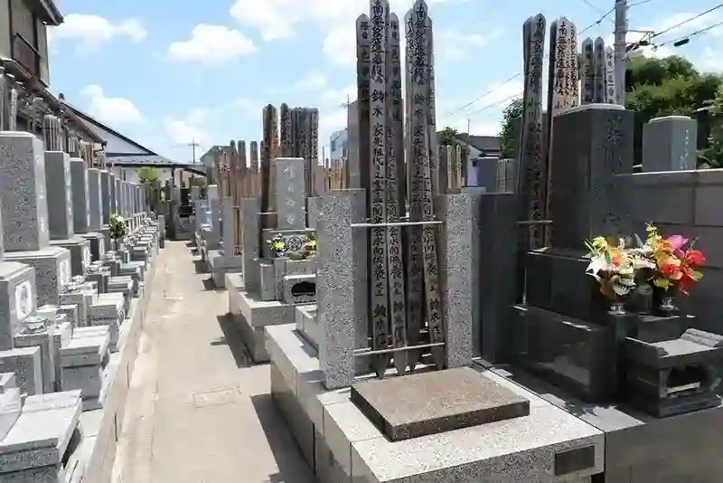 平坦で歩きやすい参道