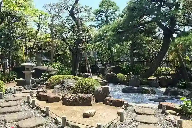綺麗な庭