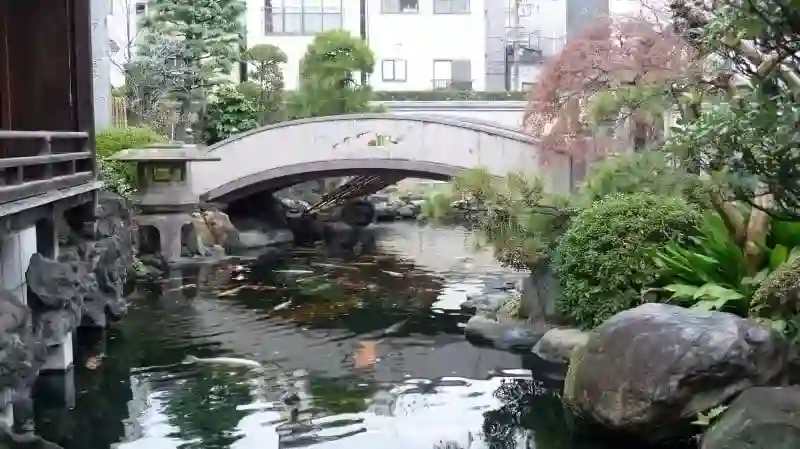 妙音寺　池庭