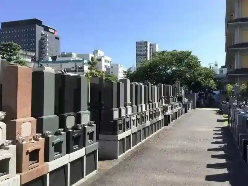 通路は平坦で広い造り
