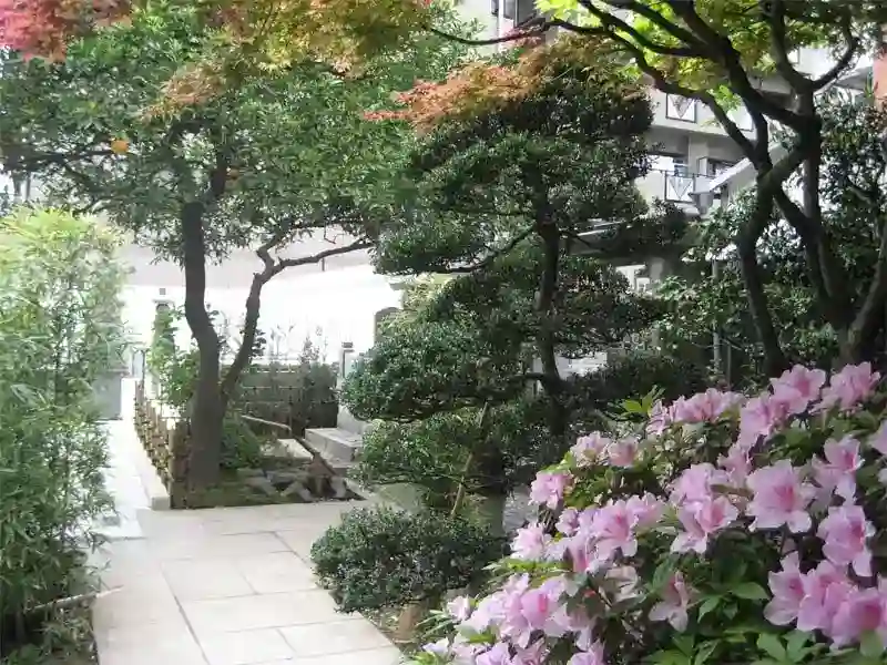 境内寸景