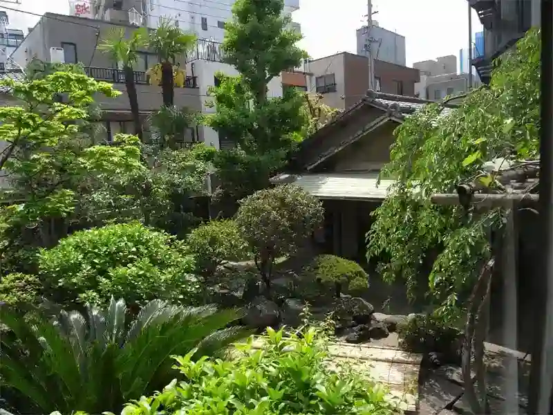 緑溢れる茶室