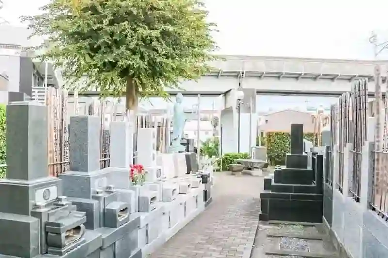 区域