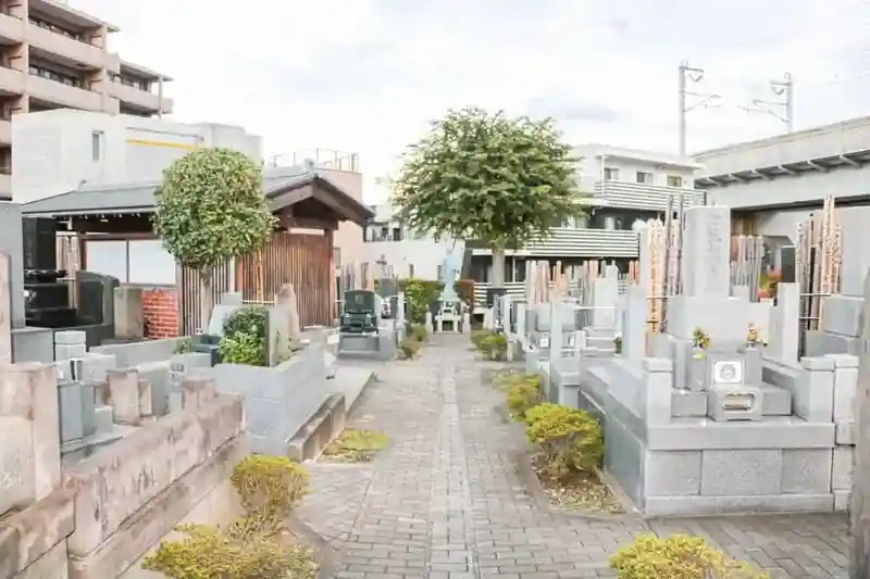 区域