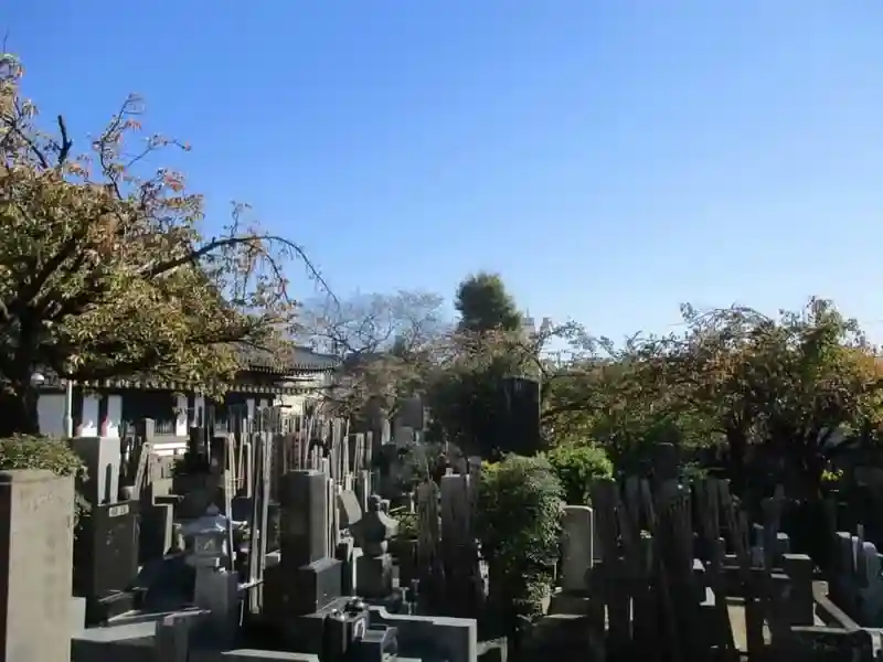 墓苑②