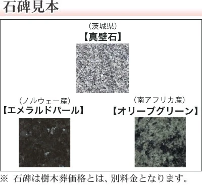 石碑見本