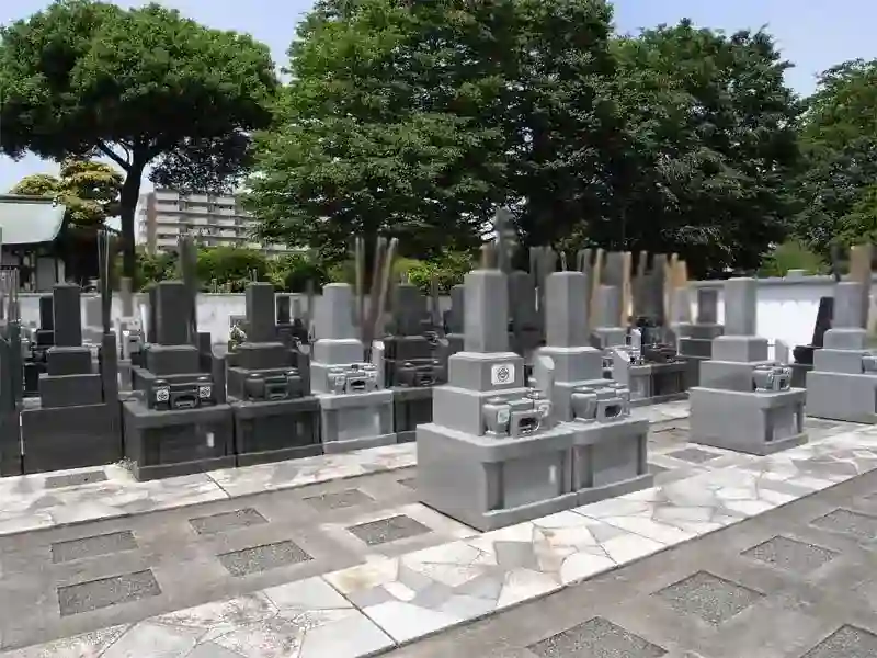 基地寸景